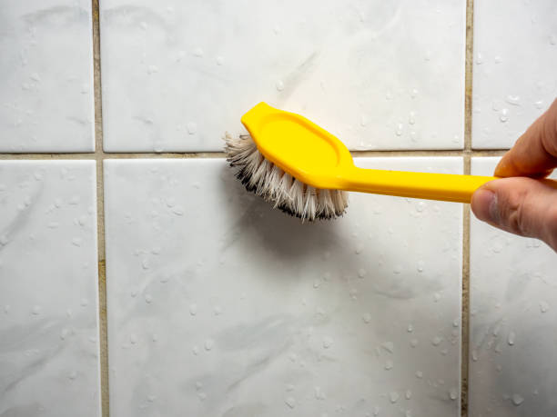 Best Mold Removal Company Near Me  in Eagleville, PA