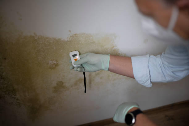 Best Mold Testing  in Eagleville, PA