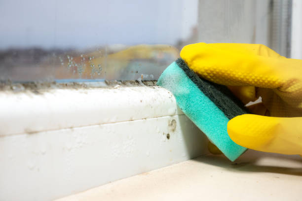 Eagleville, PA Mold Removal Company