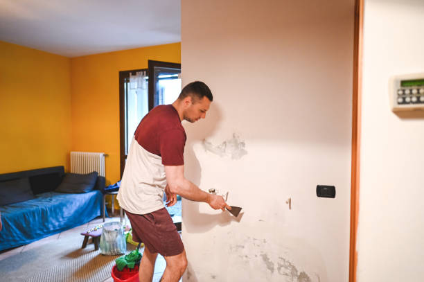 Best Certified Mold Removal  in Eagleville, PA