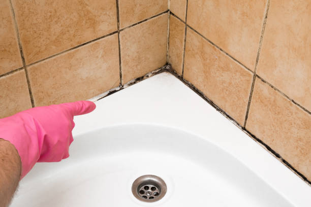 Best Professional Mold Removal  in Eagleville, PA